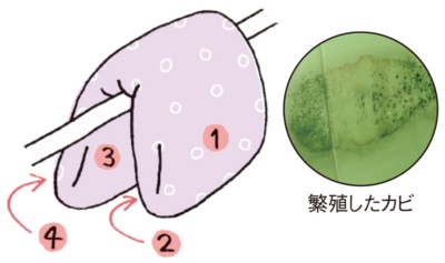 4面をまんべんなく干す。右は、睡眠中の汗が原因で、マットレスに人型に繁殖したカビの写真（カビ写真提供：川上部長）