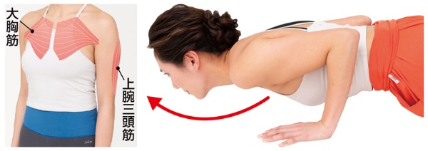 「ずぼら腕立て」でつく筋肉は、主に胸の筋肉（大胸筋）と、腕の後ろ側にある上腕三頭筋だ。女性は普段使いにくい部位の筋肉なので、筋トレ効果が出やすい。姿勢を保つことで腹筋や背筋などにも効くので、体幹を鍛える効果もある