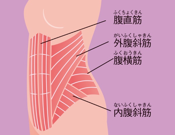 エクササイズでお腹タテ線をゲット 腹筋女子プログラム 日経xwoman エクササイズでお腹タテ線をゲット 腹筋女子プログラム 日経xwoman