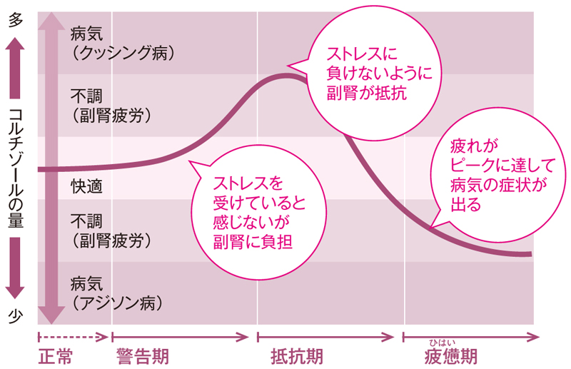 ストレスの歴史 しつこい疲れは「副腎疲労」かも？ ホルモンとの関係は （2