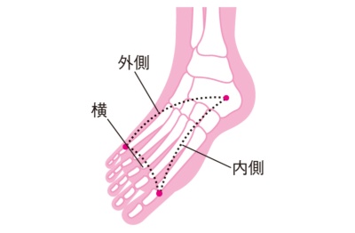 ■足のアーチ骨格は「3つのアーチ」からなる