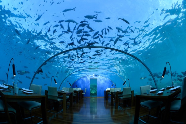 コンラッド・モルディブ・ランガリ・アイランドの水中レストラン。「ガラス張りの水中レストランには度肝を抜かれました。水族館に行くのとはまた違う、不思議な体験ができました」