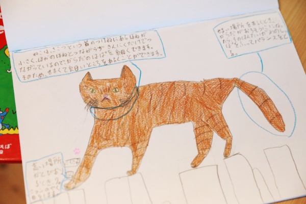 15年前 帰宅した夫のバッグからやせた子猫が出てきた 4ページ目 日経xwoman 15年前 帰宅した夫のバッグからやせた子猫が出てきた 4ページ目 日経xwoman