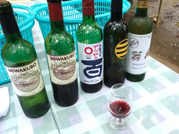 「甲州ブドウ」や「アジロン」など、山梨以外ではあまりお目にかからない品種のワインをブドウ畑で楽しめるのが魅力。ラベルも渋い！
