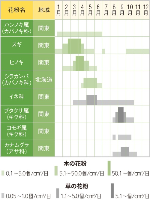 花粉は通年で飛散している