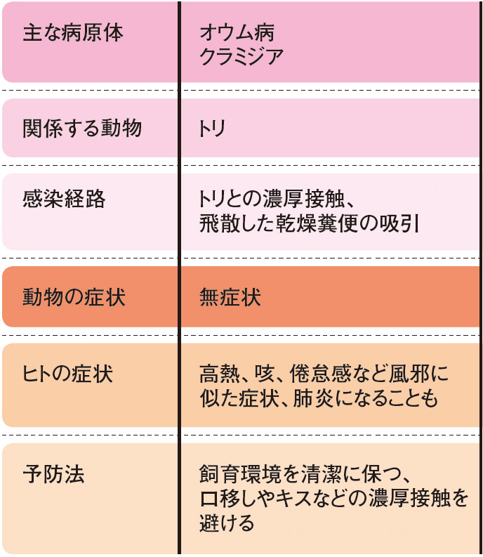 ペット ストア と キス 病気