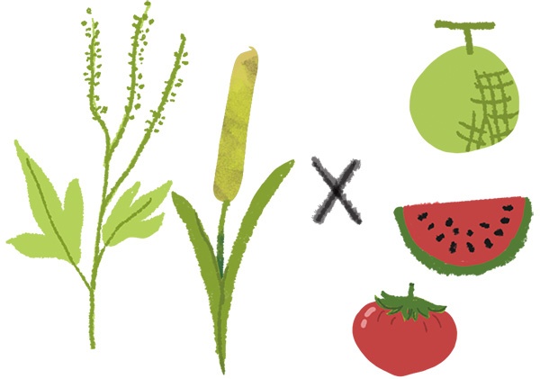 大人になって食物アレルギー ナッツで発症する人も急増 2ページ目 日経xwoman 大人になって食物アレルギー ナッツで発症する人も急増 2ページ目 日経xwoman