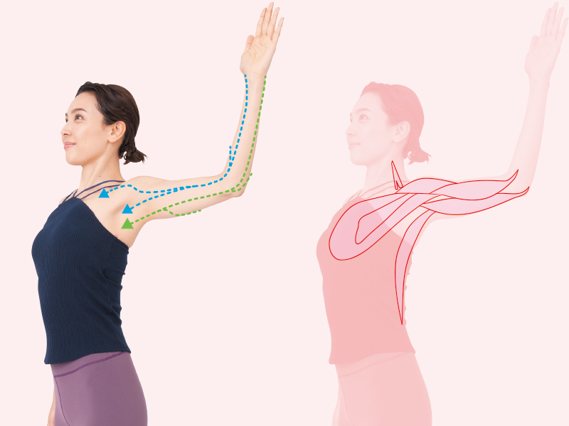 横手貞一朗がモデルに教える ほうれい線を消す「あご筋リフト」：日経