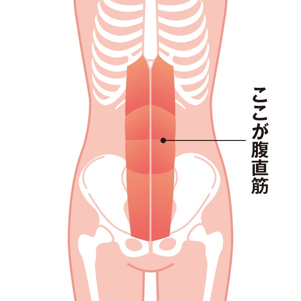 下腹ぽっこり解消には まず腹筋の柔らかさが必要だった 日経xwoman 下腹ぽっこり解消には まず腹筋の柔らかさが必要だった 日経xwoman