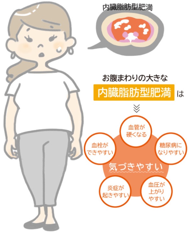 ダイエットで脂肪がつきやすくなる 隠れ肥満注意報 日経xwoman