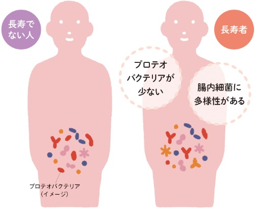 長寿の人の腸内細菌はどう違う？ 世界の研究から判明しているのは2つ