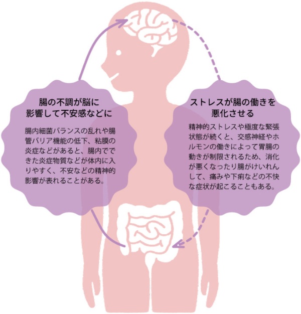 脳腸相関とは脳と腸がお互いに関係しあうこと