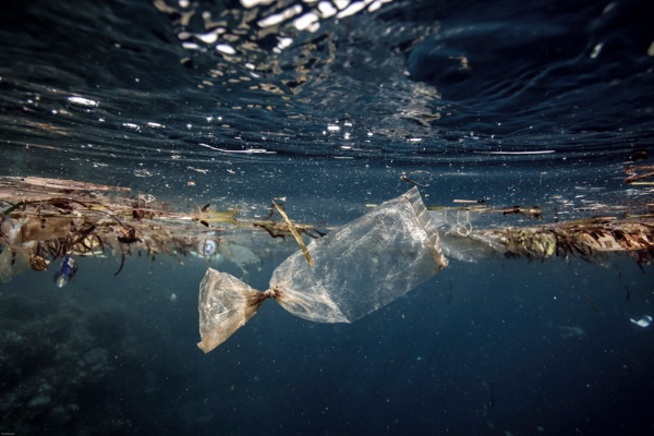 「2050年までに海洋のプラスチックの重量が海洋の魚の重量を超える可能性がある」（中嶋さん）、写真はイメージ