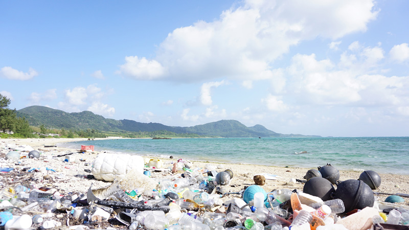 プラごみは漁業、海運業に壊滅的なダメージを与えるかもしれない、写真はイメージ