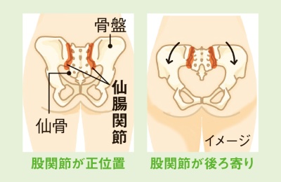 股関節を後ろに下げると、骨盤が押し出されて広がるため仙腸関節が緩みやすい