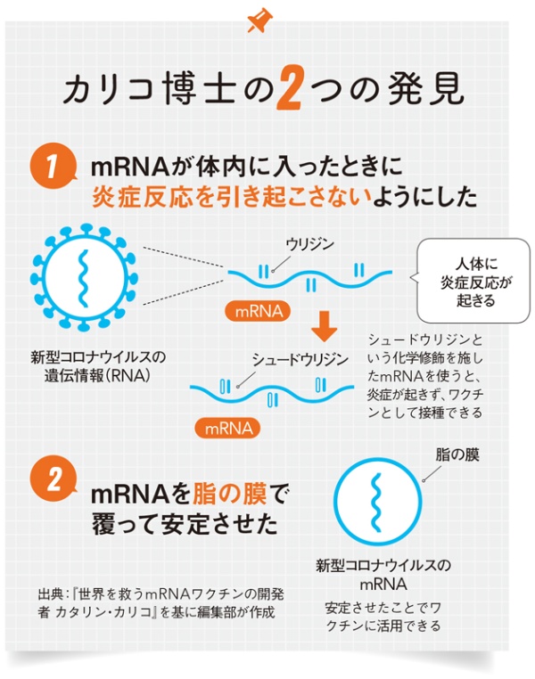 カリコ博士の2つの発見【1】mRNAが体内に入ったときに炎症反応を引き起こさないようにした【2】mRNAを脂の膜で覆って安定させた