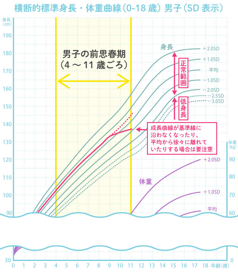 ＪＣ　成長期 