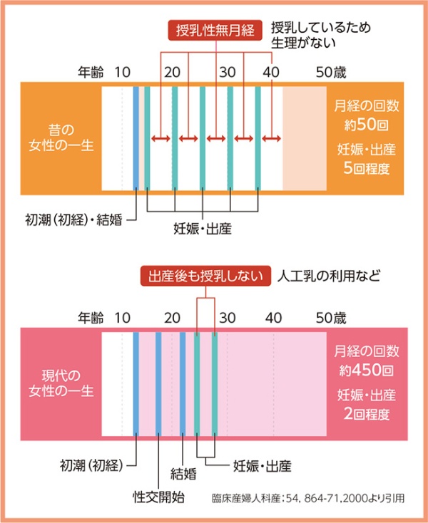 Pr 現代女性は昔の女性の約10倍 生理の回数が多い 日経xwoman Pr 現代女性は昔の女性の約10倍 生理の回数が多い 日経xwoman