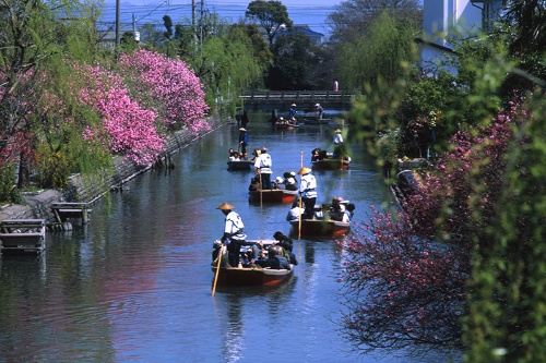 柳川では、船頭さんのガイドでゆったり川下りを楽しめる