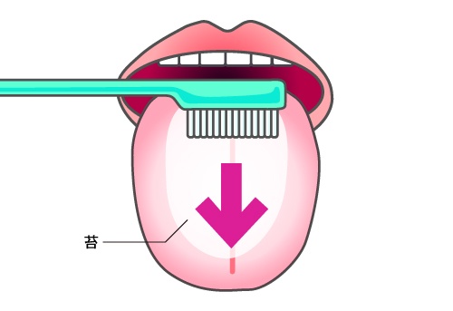 舌苔をこうして掃除することが口臭ケアのポイント。1日1回で十分