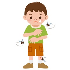 大人より新陳代謝が活発な子どもは、蚊が近寄ってくるサインが皮膚から放出されているようです（©ankomando-123rf）