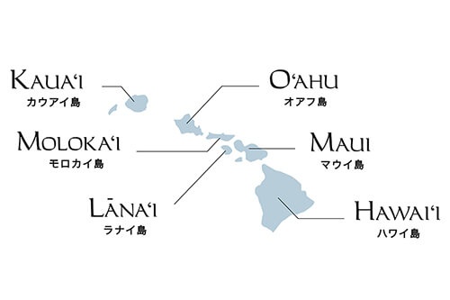 マウイ島の場所をチェック！ ハワイ諸島の中でハワイ島に次いで2番目に大きな島です（地図提供／ハワイ州観光局）