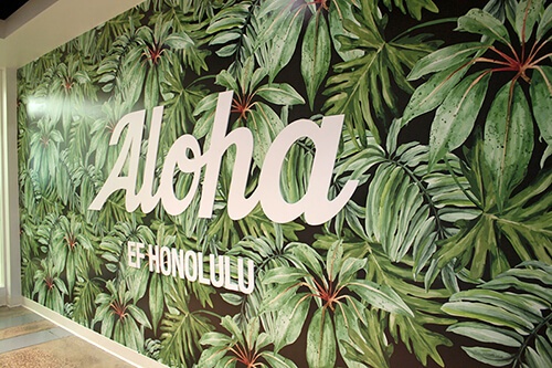 EFホノルル校の入り口。壁に施された「Aloha」の大きな文字を見ると、元気が出そう！