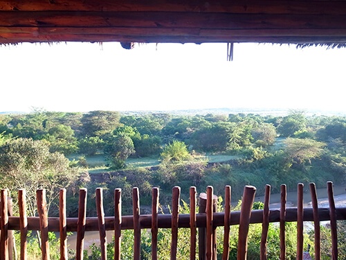 部屋のテラスからの眺めはこんな感じです。マサイマラ国立保護区が広がっています