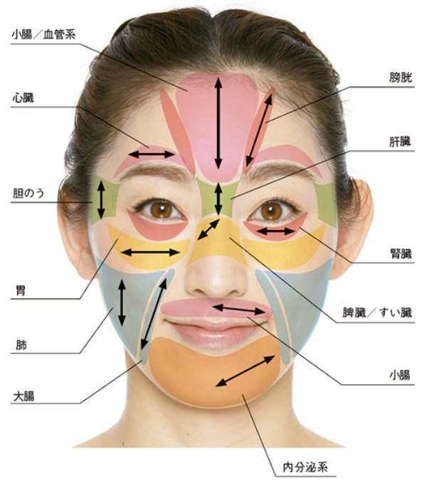顔に触れることで内臓の不調を和らげるメソッド 日経xwoman 顔に触れることで内臓の不調を和らげるメソッド 日経xwoman
