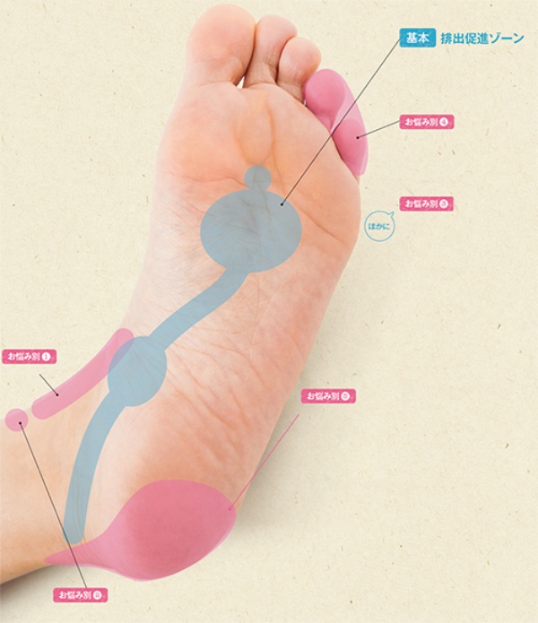 足ツボを押して不調を解消 やせ体質に 日経xwoman 足ツボを押して不調を解消 やせ体質に 日経xwoman