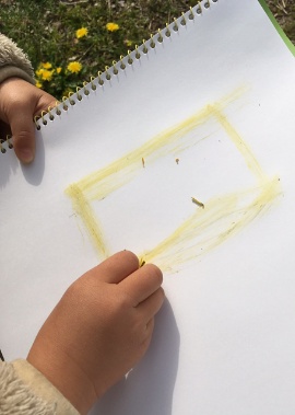 タンポポの花を使って黄色の絵が描けた