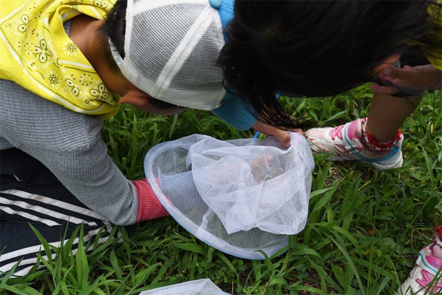 子どもがフラットな状態で虫に関心を持ってくれるのが理想（撮影：長谷部雅一）