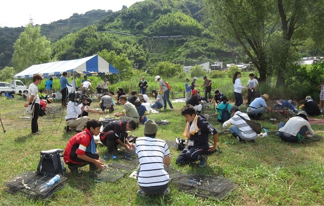 7月に静岡市の麻機遊水地で行われた外来種の捕獲調査。まずはわなを自分で組み立てるところからスタート