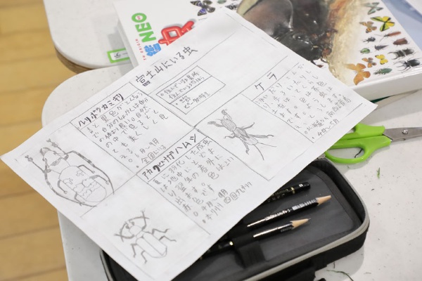 エレメンタリースクール（6歳～）に通う生徒の手書きの模写。目をみはる集中力で図鑑を模写していました