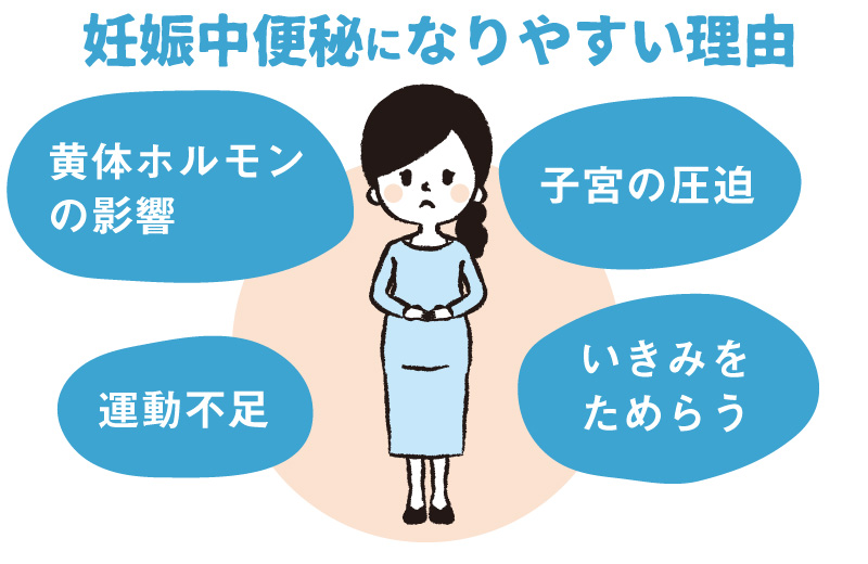 妊娠中の便秘 痔 人には聞けないお悩み解消 2ページ目 日経xwoman