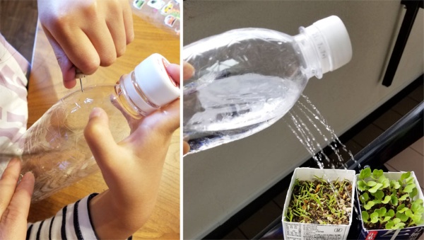 未就学児との家庭菜園 広がった日々の見え方 感じ方 3ページ目 日経xwoman 未就学児との家庭菜園 広がった日々の見え方 感じ方 3ページ目 日経xwoman