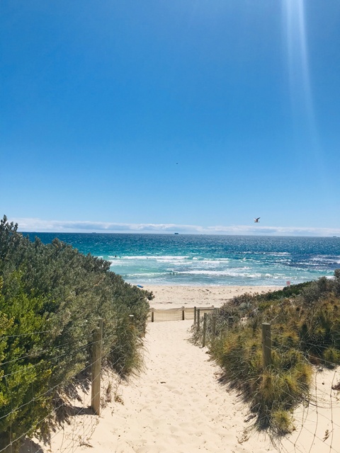 11月はオーストラリアの初夏。また今年も海の青さがまぶしい季節がやって来ました。もうすぐ5回目の真夏のクリスマス。月日が経つのは早いなあ！