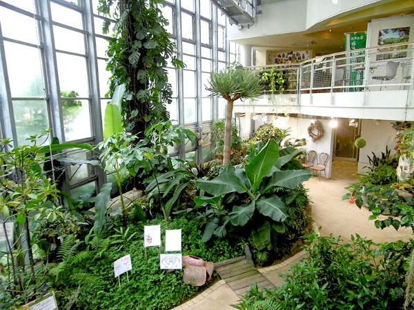 温室のある植物園で緑に触れよう（詳しくは2ページ）