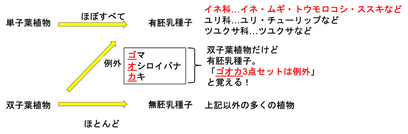 理科 知識の定着は自分なりの意味付けが大事 3ページ目 日経xwoman