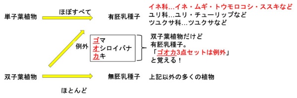 理科 知識の定着は自分なりの意味付けが大事 3ページ目 日経xwoman 理科 知識の定着は自分なりの意味付けが大事 3ページ目 日経xwoman