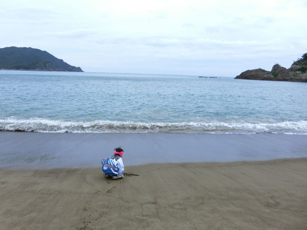 海ガメの産卵地として知られる、徳島県海部郡美波町の大浜海岸