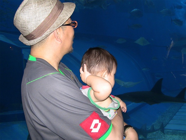 初の水族館は「沖縄 美ら海水族館」。ジンベエザメの群泳を、わが息子はどんな思いで見つめているのか。「腹減ったな～」とか？