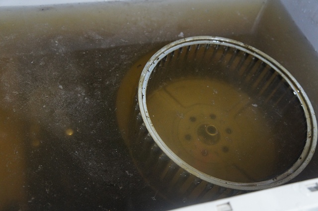 こちらは漬け置き洗い。真っ黒な水にドン引き……