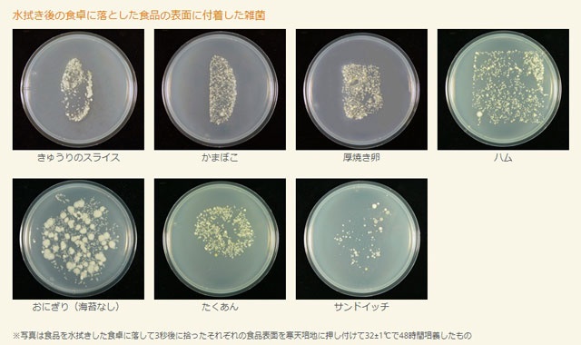 台ふきんで食卓を水拭きしたら雑菌が増えた(泣) (3ページ目):日経xwoman