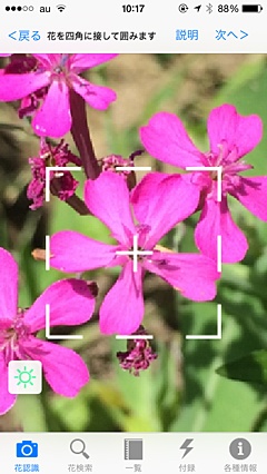 「花しらべ」で撮ったり、撮影済みの写真に写っている花をアプリに読み込みます