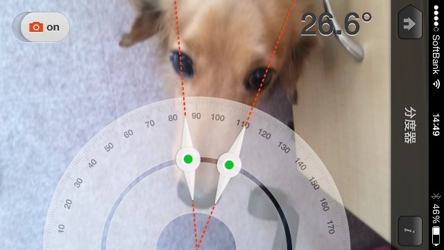 わが家のマロくんの鼻の角度は、26.6度でした。鼻の角度、犬によって意外と違います

