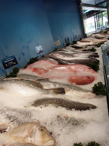 近所の魚屋さん。パースは魚介類もたくさん。タイが美味しいです！