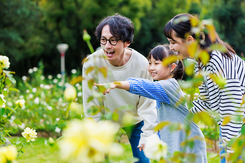 小学校受験 ペーパー対策を深い学びの時間にするには：日経xwoman