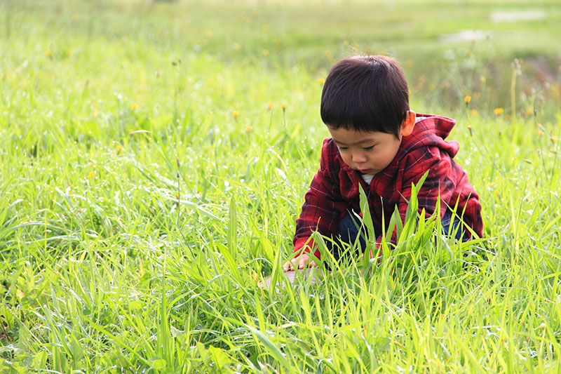 子ども時代は「将来の準備期」ではない 遊ぶほど地頭良くなる：日経xwoman