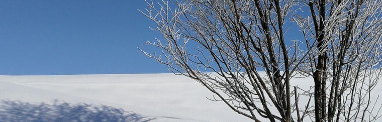 八代宜子アンバサダーブログ
